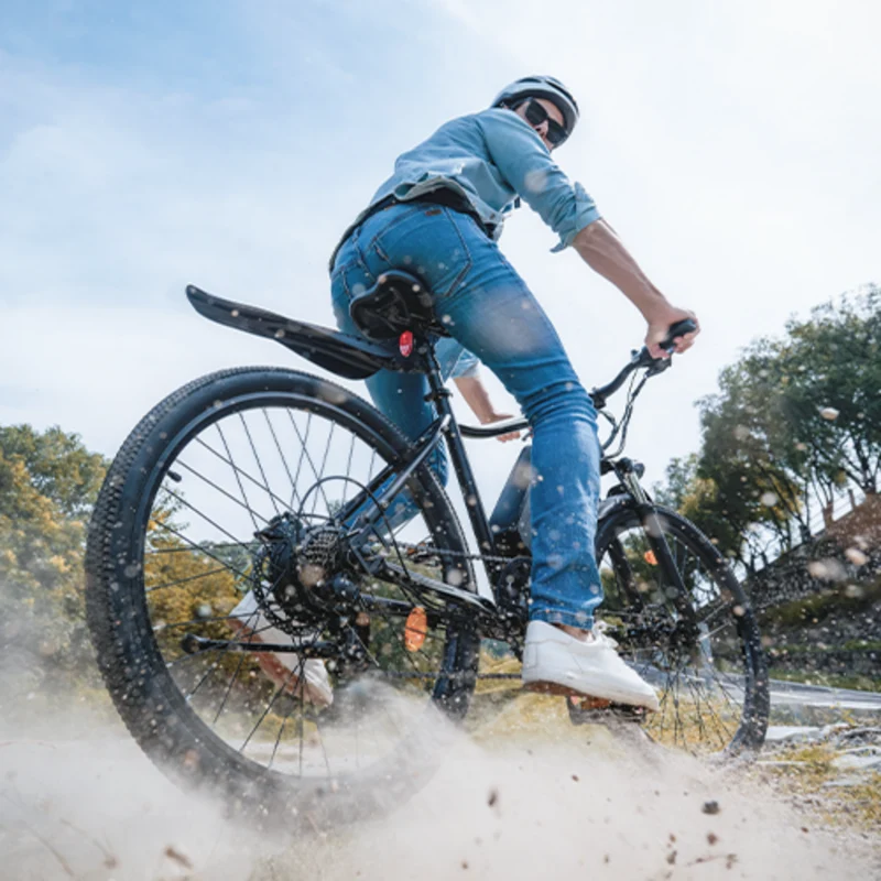 EB3 / EB3S E-Mountainbike