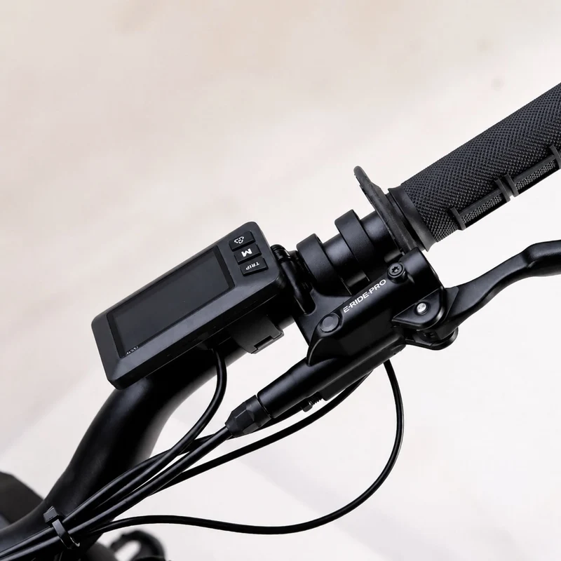 E-Ride Pro Mini R