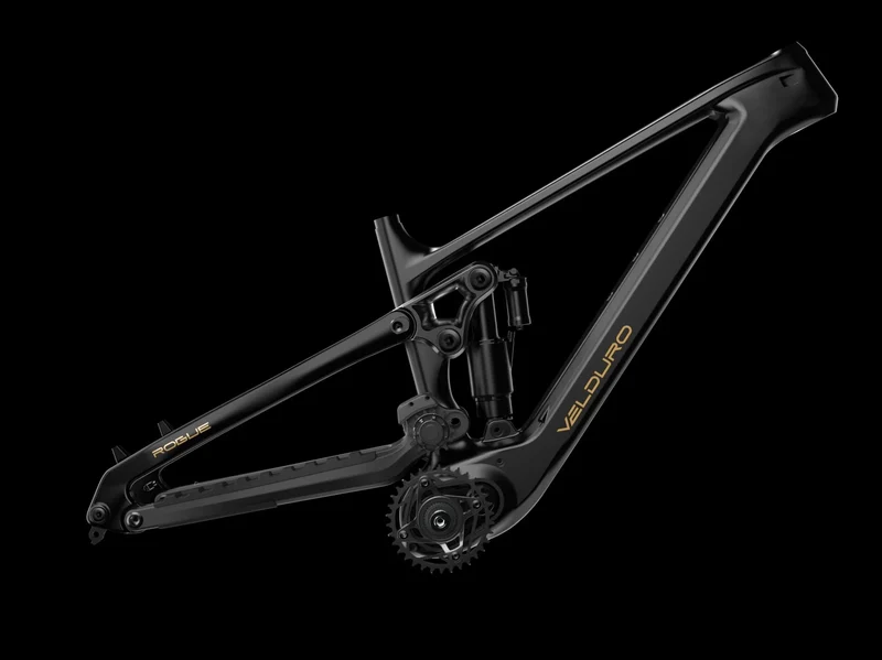 Velduro Rogue R - E-MTB | powered by AVINOX