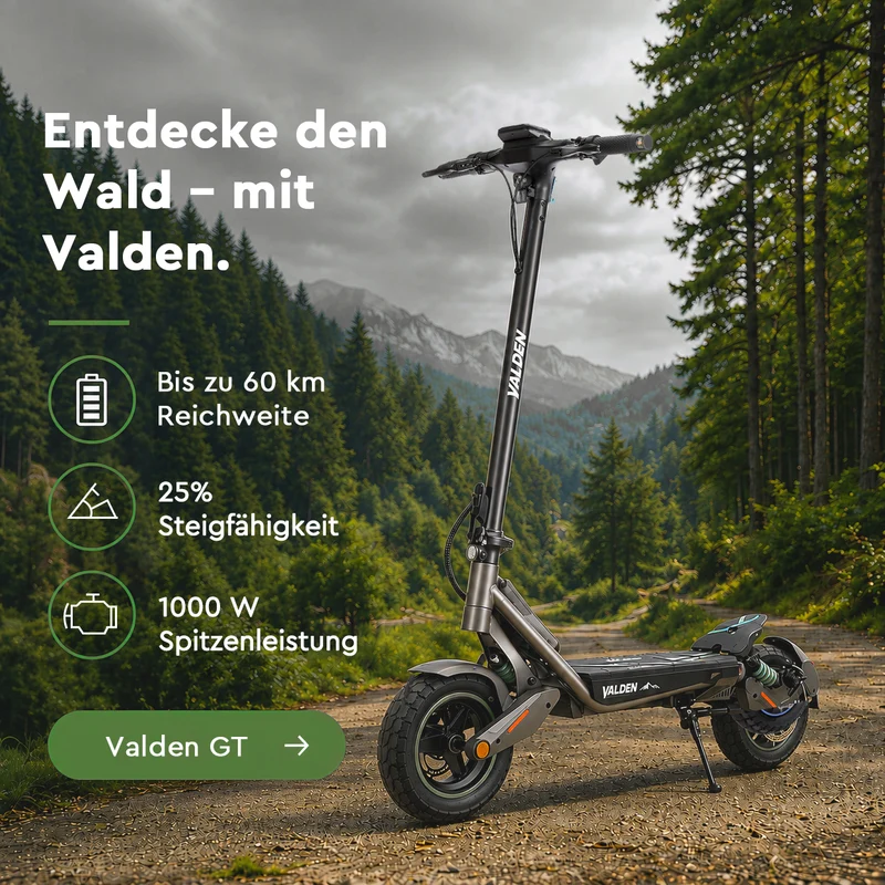Valden E-Scooter GT (ABE)