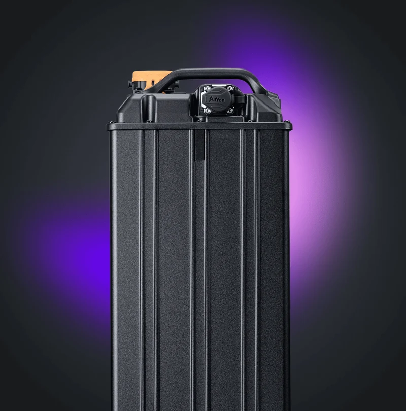 SURRON Light Bee 2