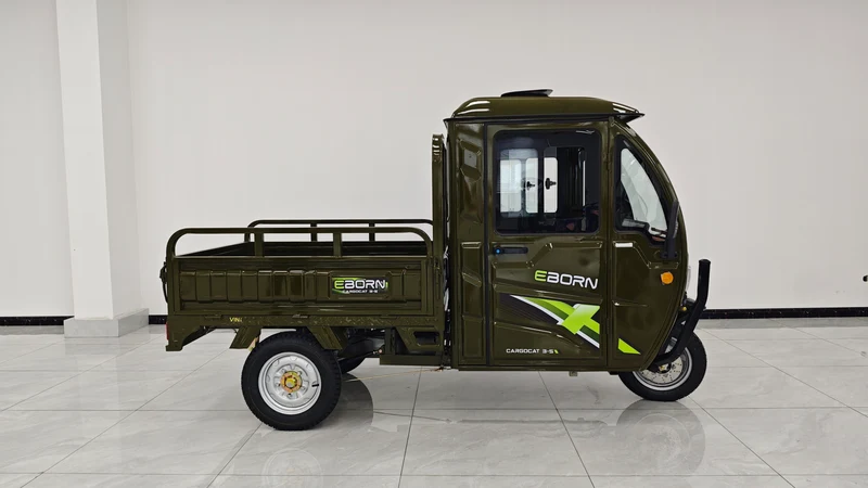 Eborn Cargo Cat 3 V2