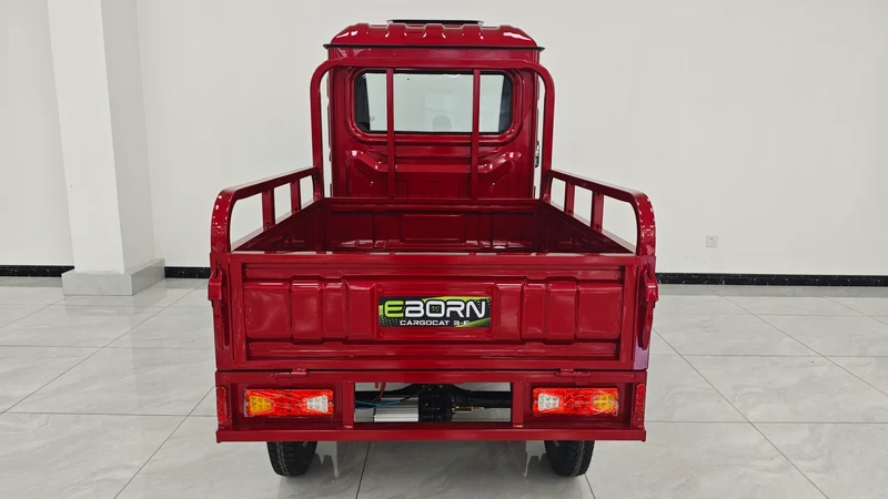 Eborn Cargo Cat 3 V2