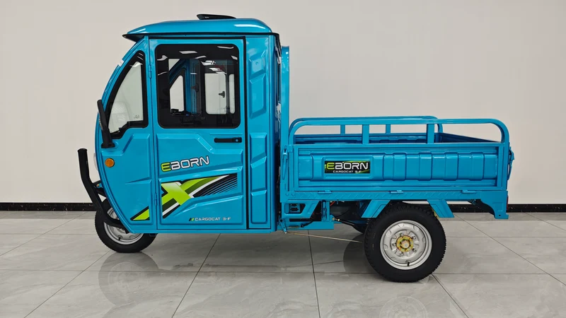 Eborn Cargo Cat 3 V2