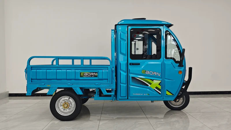 Eborn Cargo Cat 3 V2