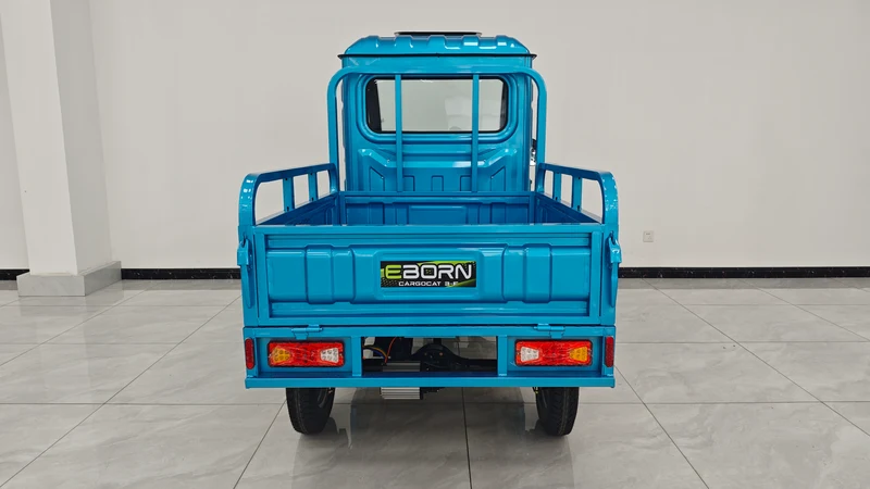 Eborn Cargo Cat 3 V2