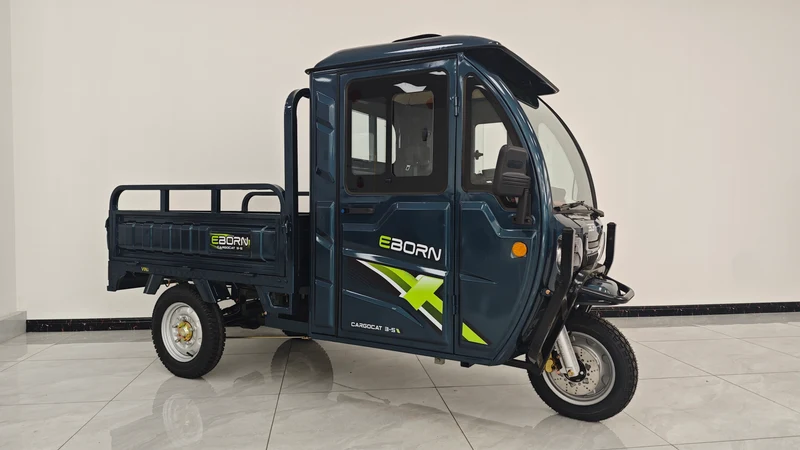 Eborn Cargo Cat 3 V2