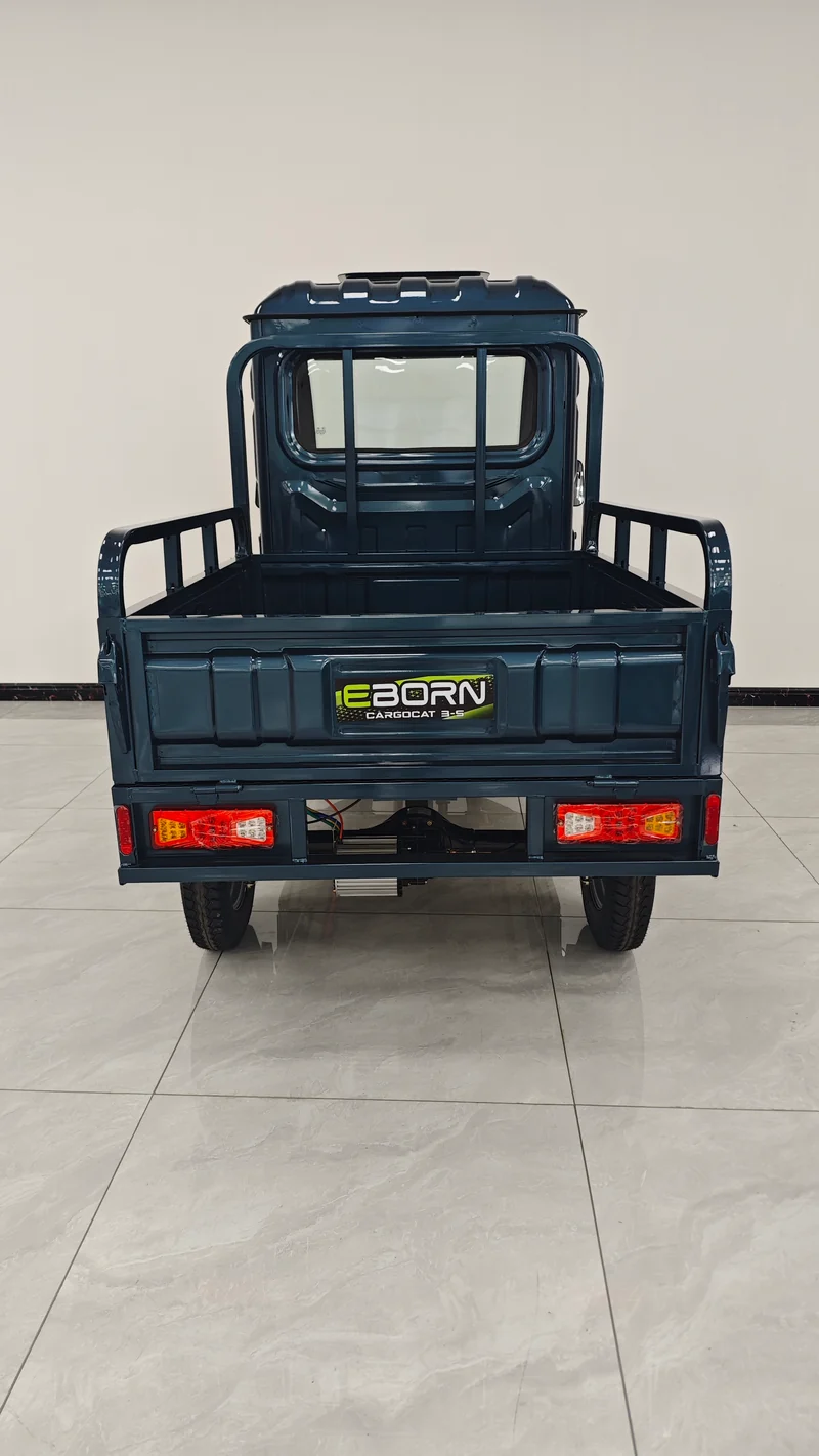 Eborn Cargo Cat 3 V2