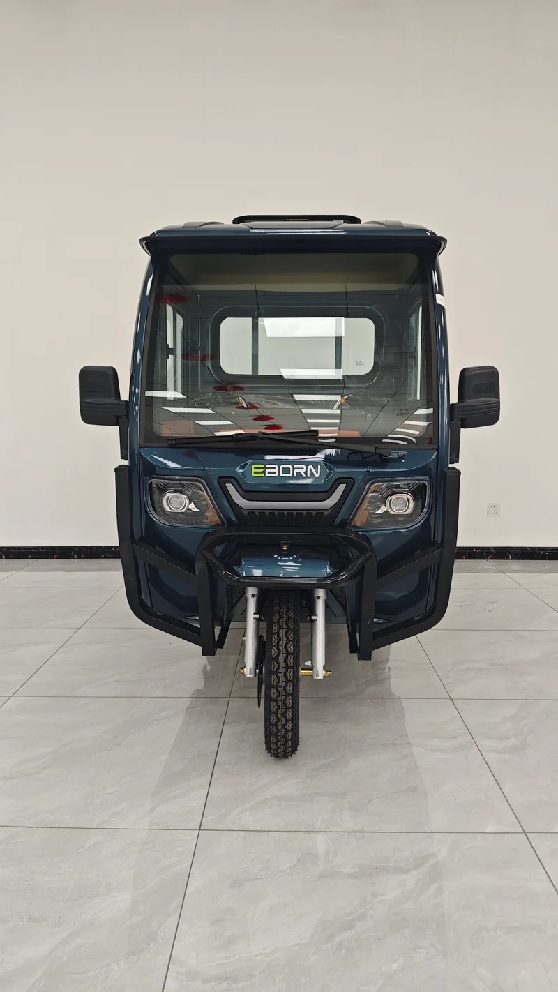 Eborn Cargo Cat 3 V2