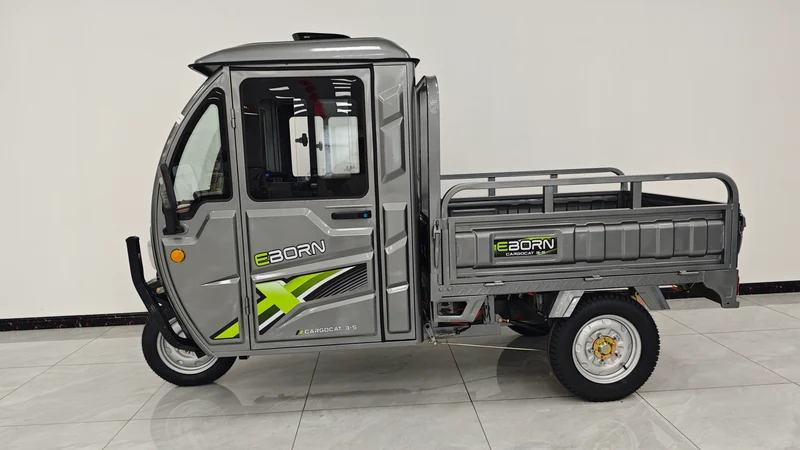 Eborn Cargo Cat 3 V2