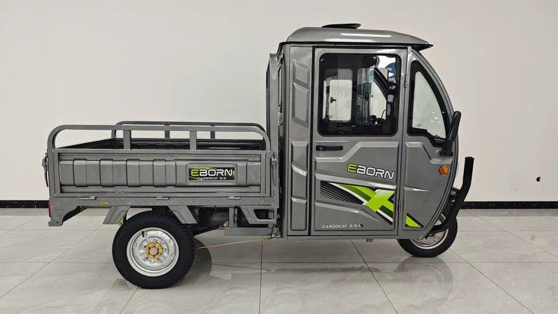 Eborn Cargo Cat 3 V2