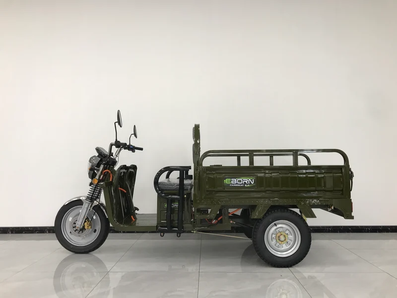 Eborn Cargo Cat 2 V2