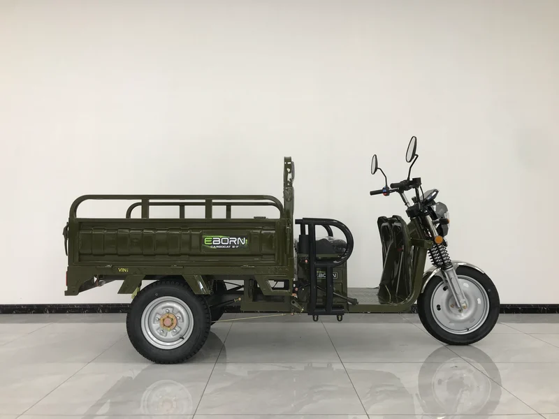 Eborn Cargo Cat 2 V2