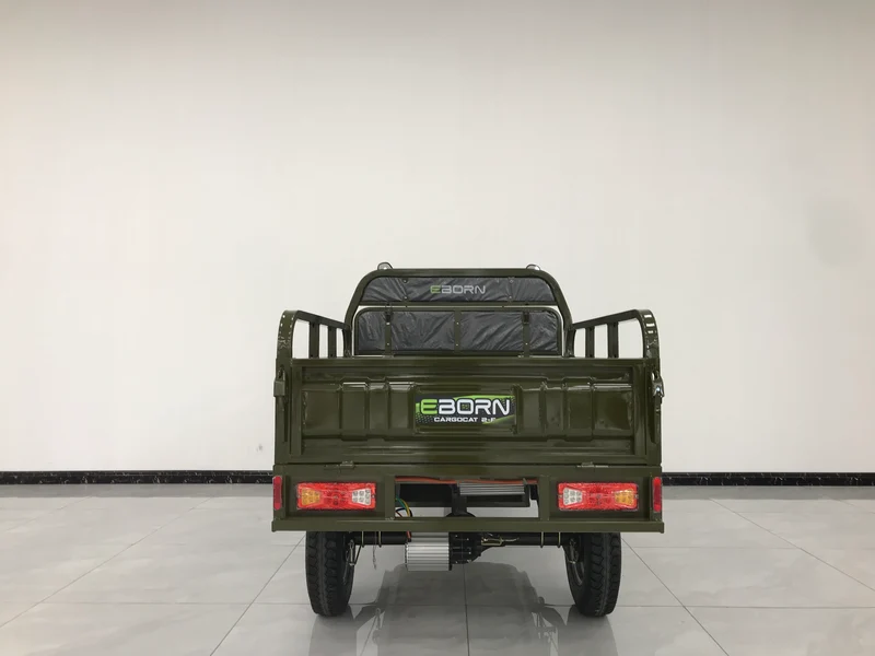 Eborn Cargo Cat 2 V2