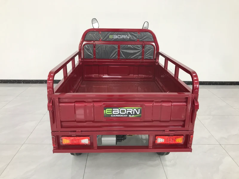 Eborn Cargo Cat 2 V2