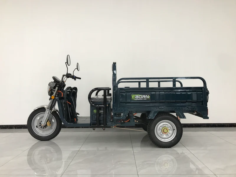 Eborn Cargo Cat 2 V2