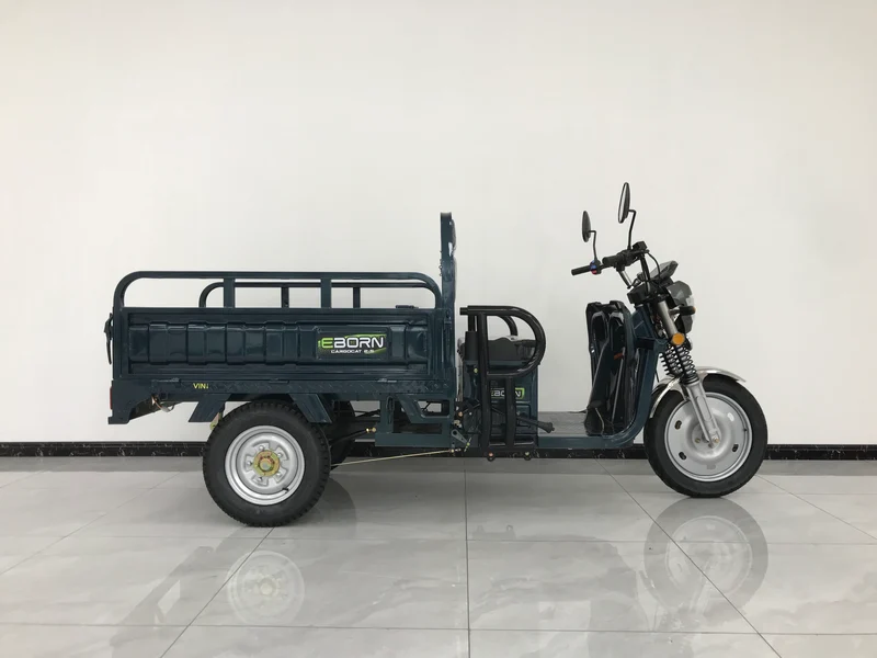 Eborn Cargo Cat 2 V2