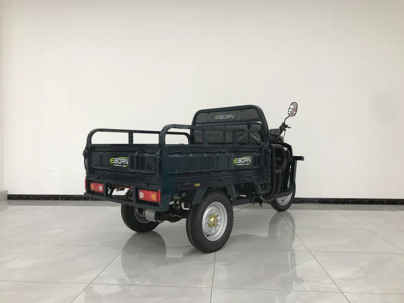 Eborn Cargo Cat 2 V2