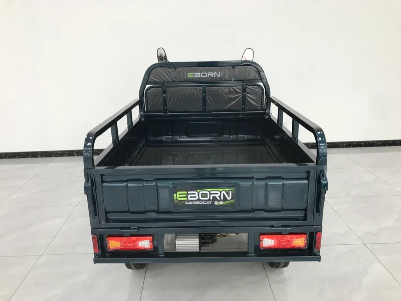 Eborn Cargo Cat 2 V2