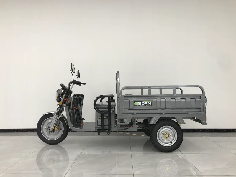 Eborn Cargo Cat 2 V2
