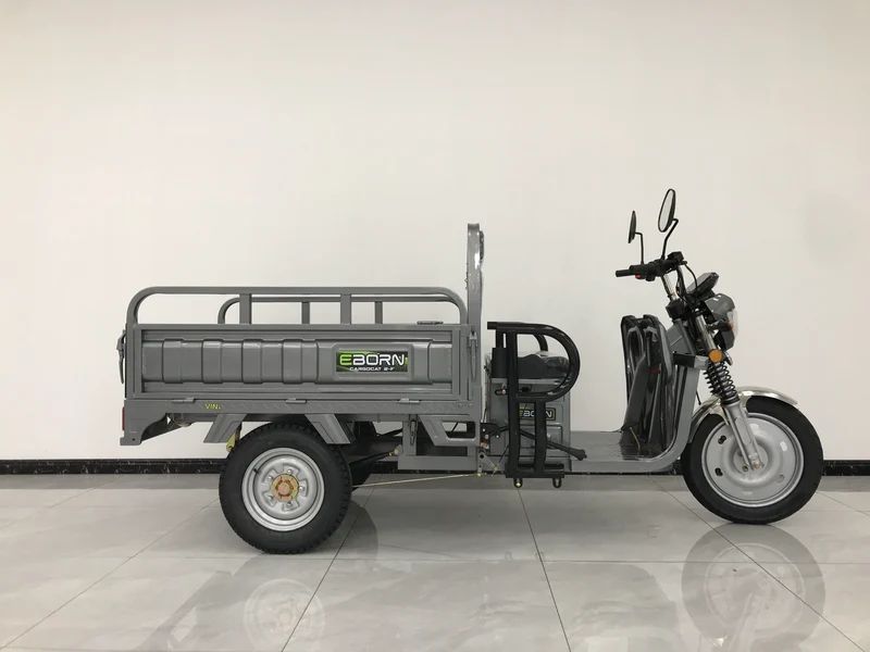 Eborn Cargo Cat 2 V2