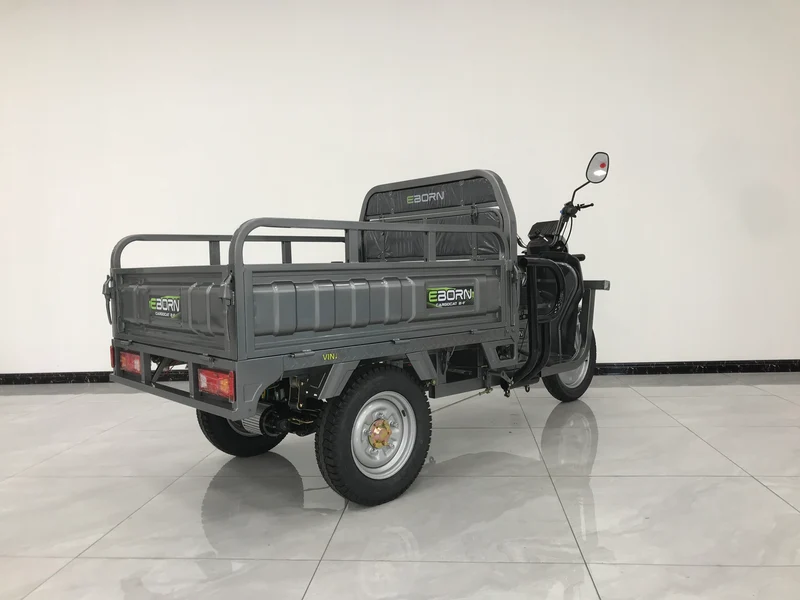 Eborn Cargo Cat 2 V2