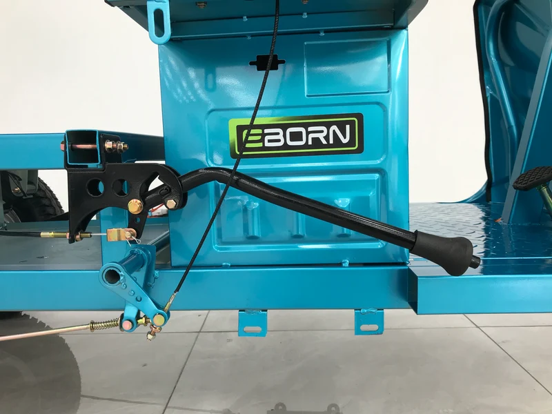 Eborn Cargo Cat 2 V2