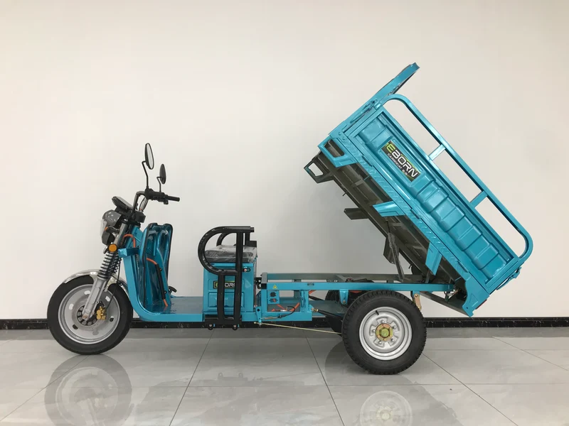 Eborn Cargo Cat 2 V2