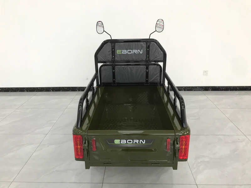 Eborn Cargo Cat 1 V2