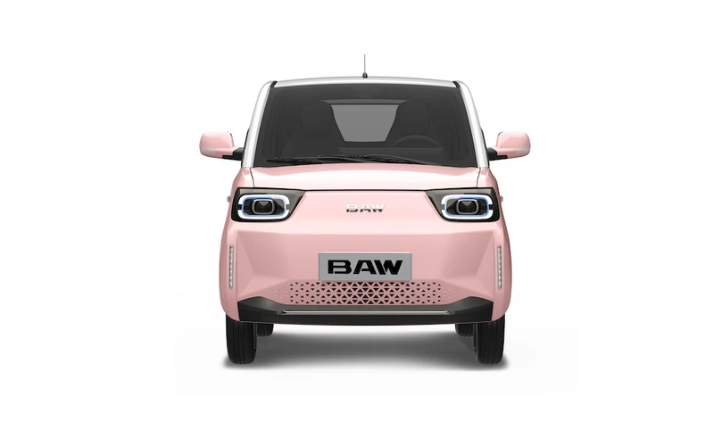 BAW Pony