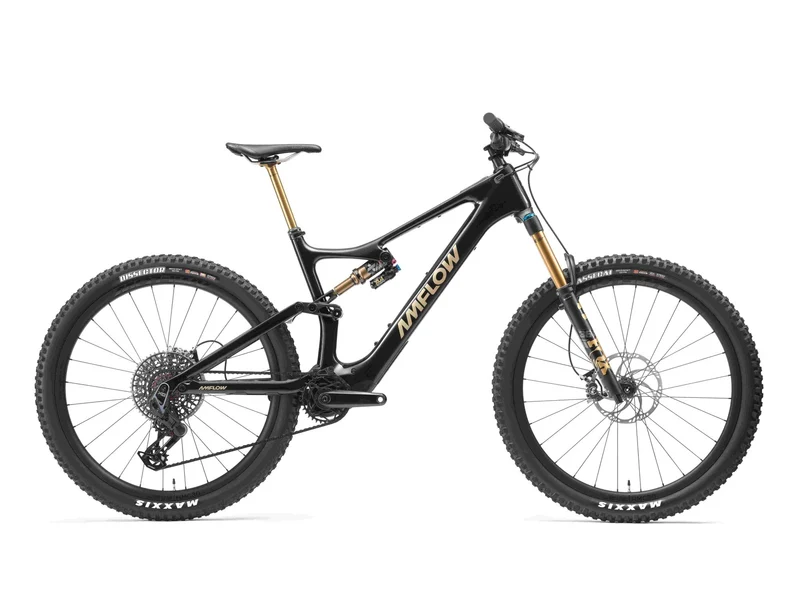 Amflow PL Carbon Pro 800Wh