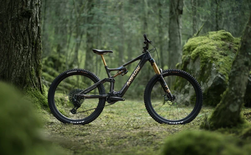 Amflow PL Carbon Pro 800Wh