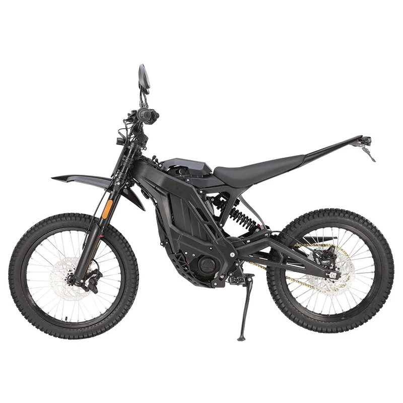E Ride Pro SE