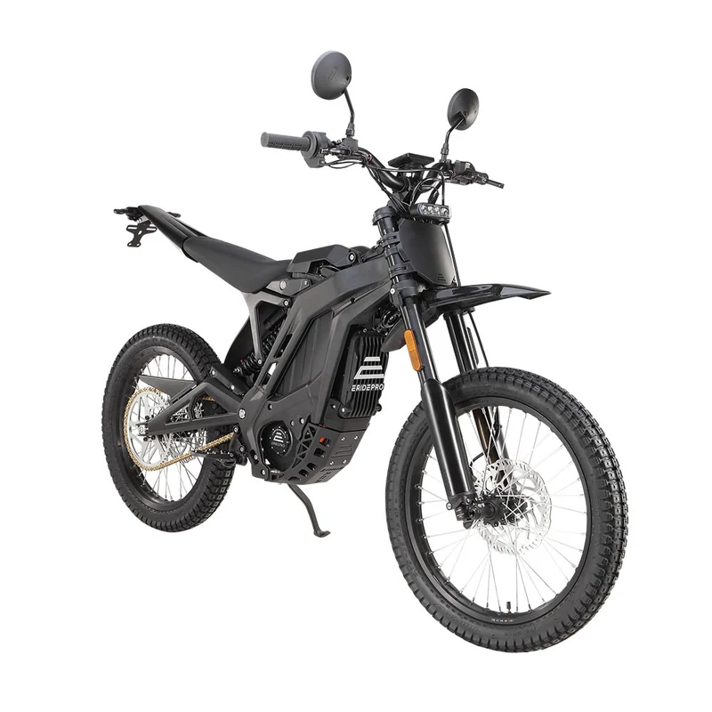 E Ride Pro SE