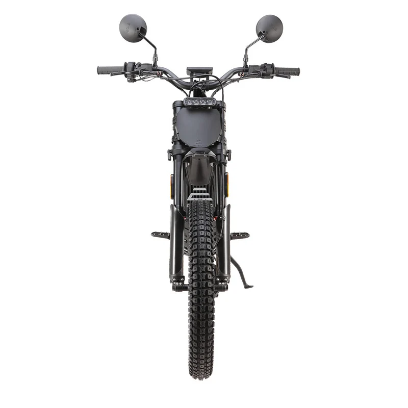 E Ride Pro SE