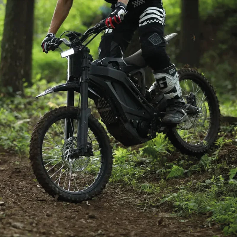 E Ride Pro SE