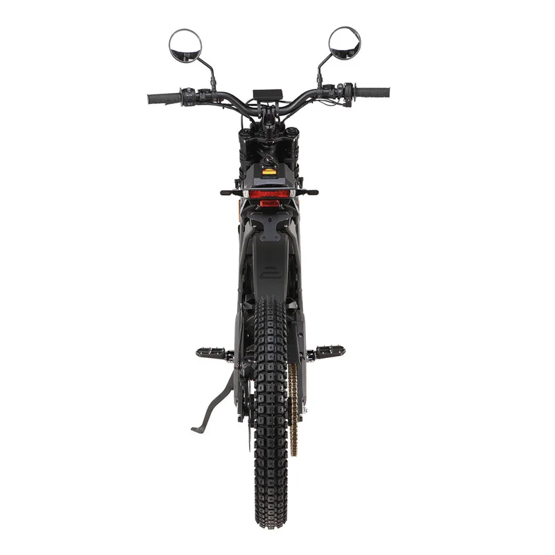E Ride Pro SE