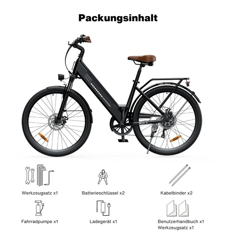 isinwheel UCityS Trekking E-Bike Tiefeinsteiger mit 750W Motor und App