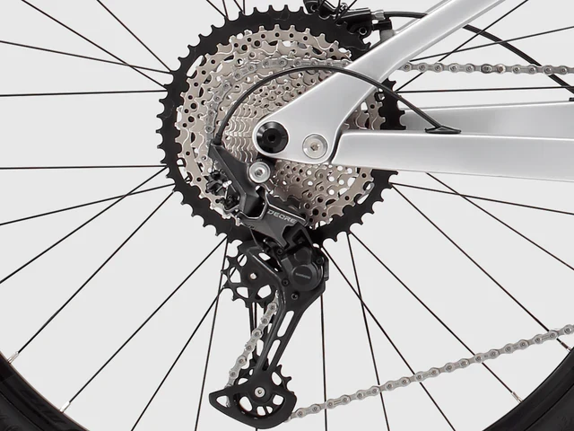 Sava Bruni 29" 6.0
