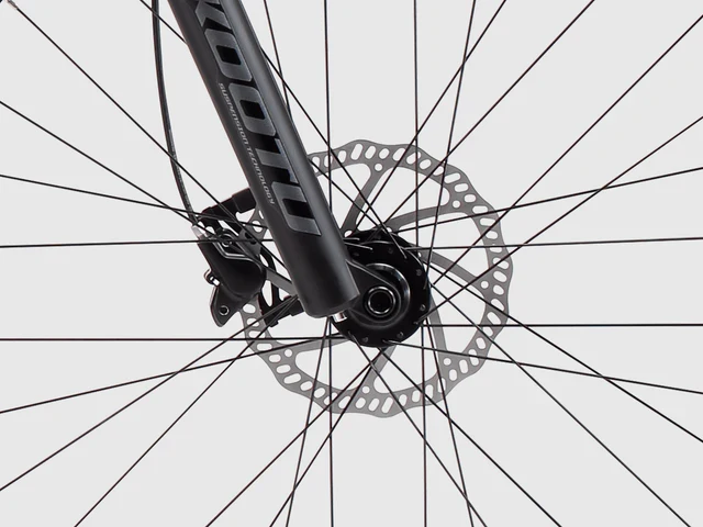Sava Bruni 29" 6.0