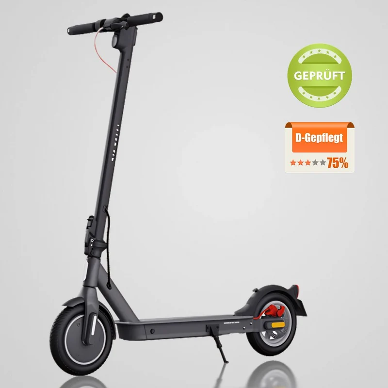 5TH WHEEL Gebraucht E-Scooter V30 Pro (ohne ABE)