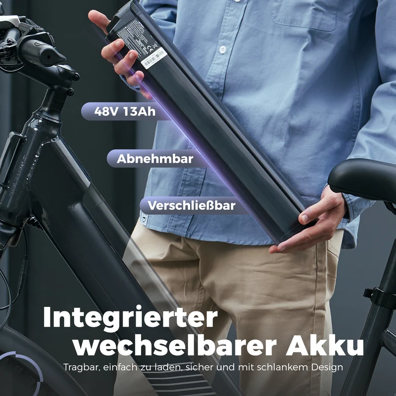 M60 Fat Tire Trekking E-Bike