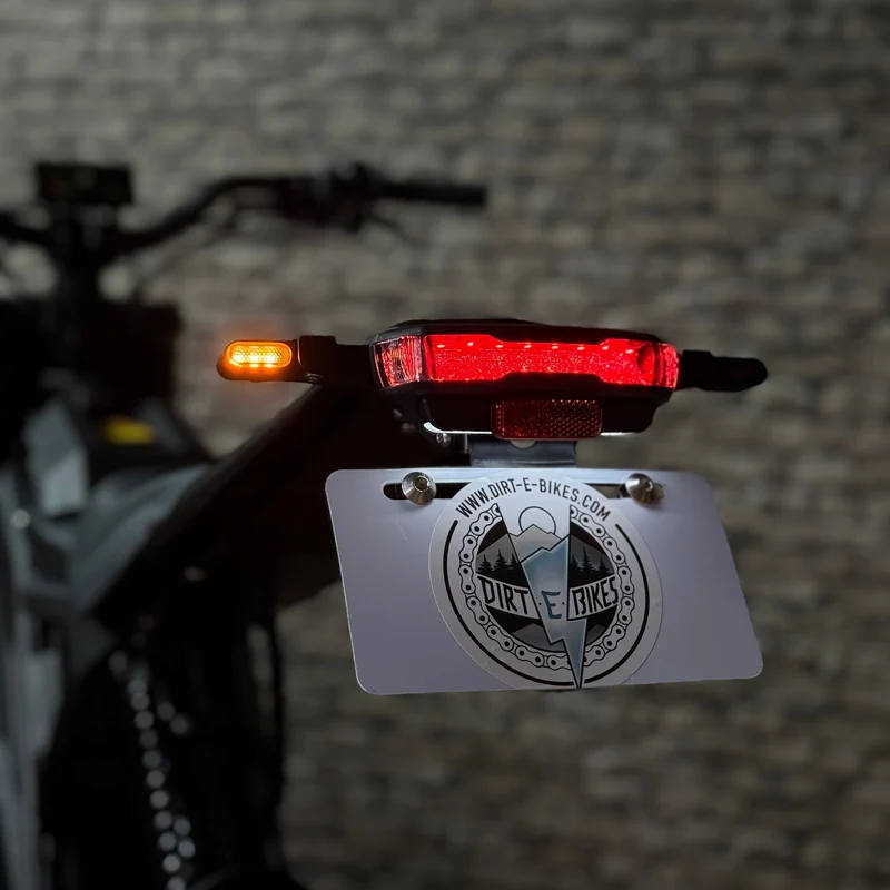 E-RIDE PRO SS 3.0