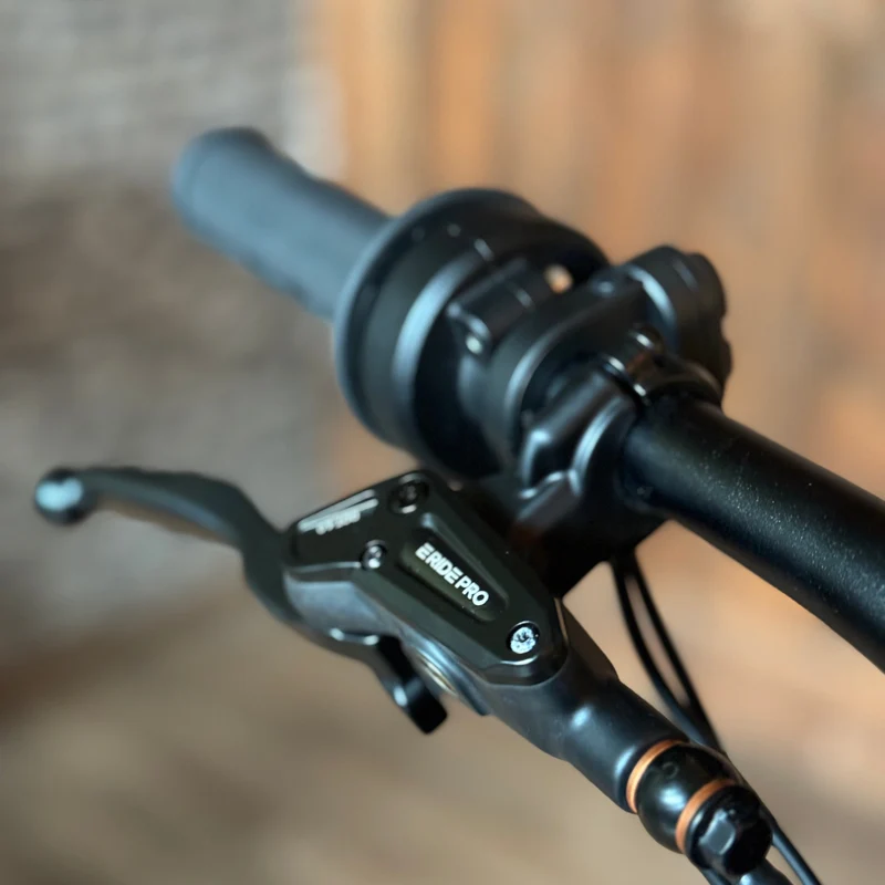 E-RIDE PRO SS 3.0