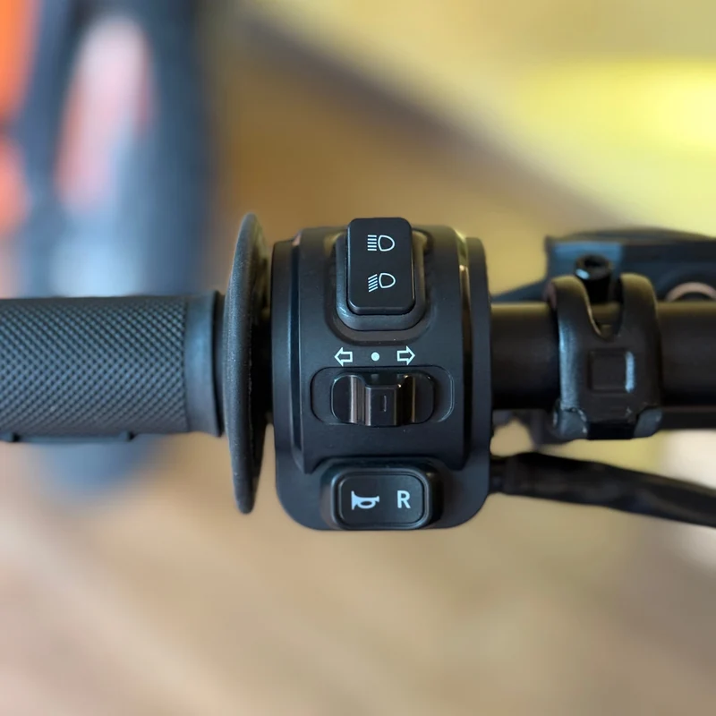E-RIDE PRO SS 3.0