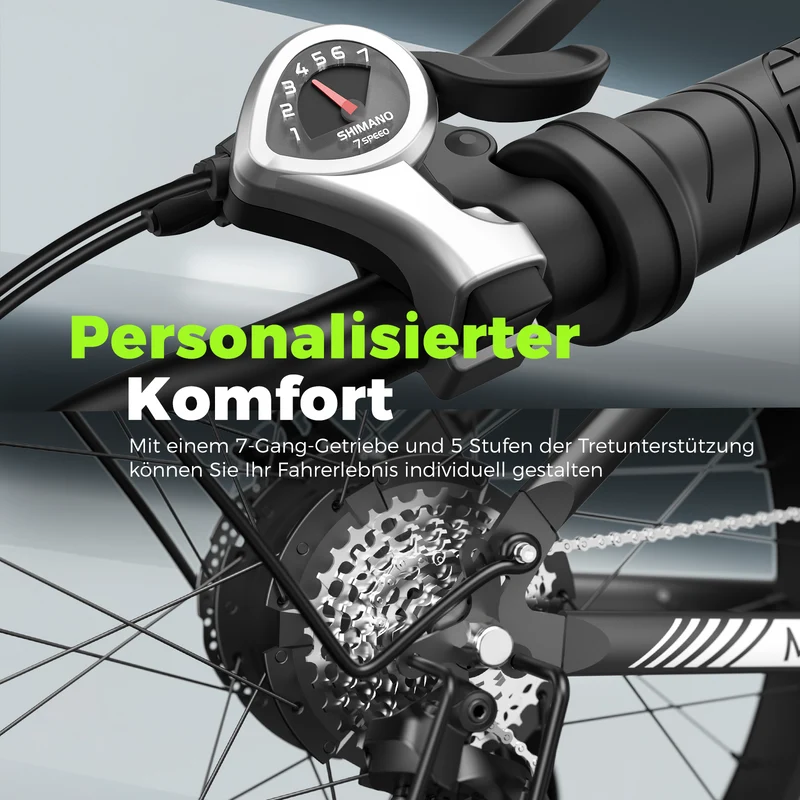 isinwheel M60 E-Fatbike Cruiser mit 26 Zoll Fat Tires 750W Motor