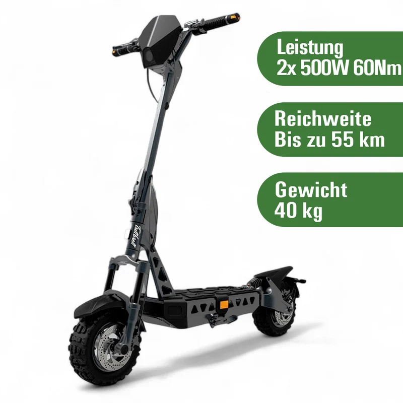 Trittbrett Hilde 2025 - Dual Motor