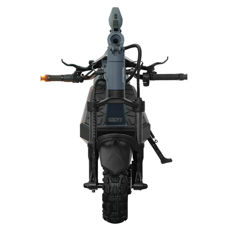 Trittbrett Hilde 2025 - Dual Motor