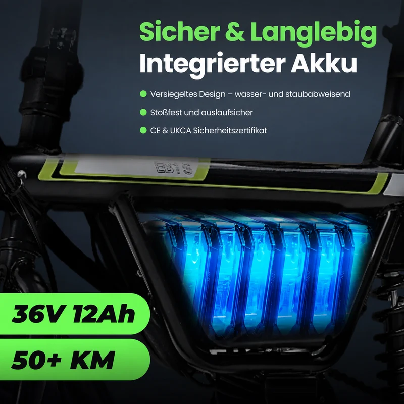 isinwheel EB1S Faltbares E-Bike 55+km mit Schnellem Laden