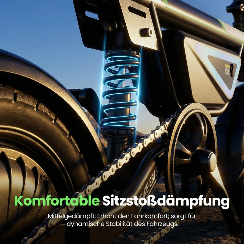 isinwheel EB1S Faltbares E-Bike 55+km mit Schnellem Laden